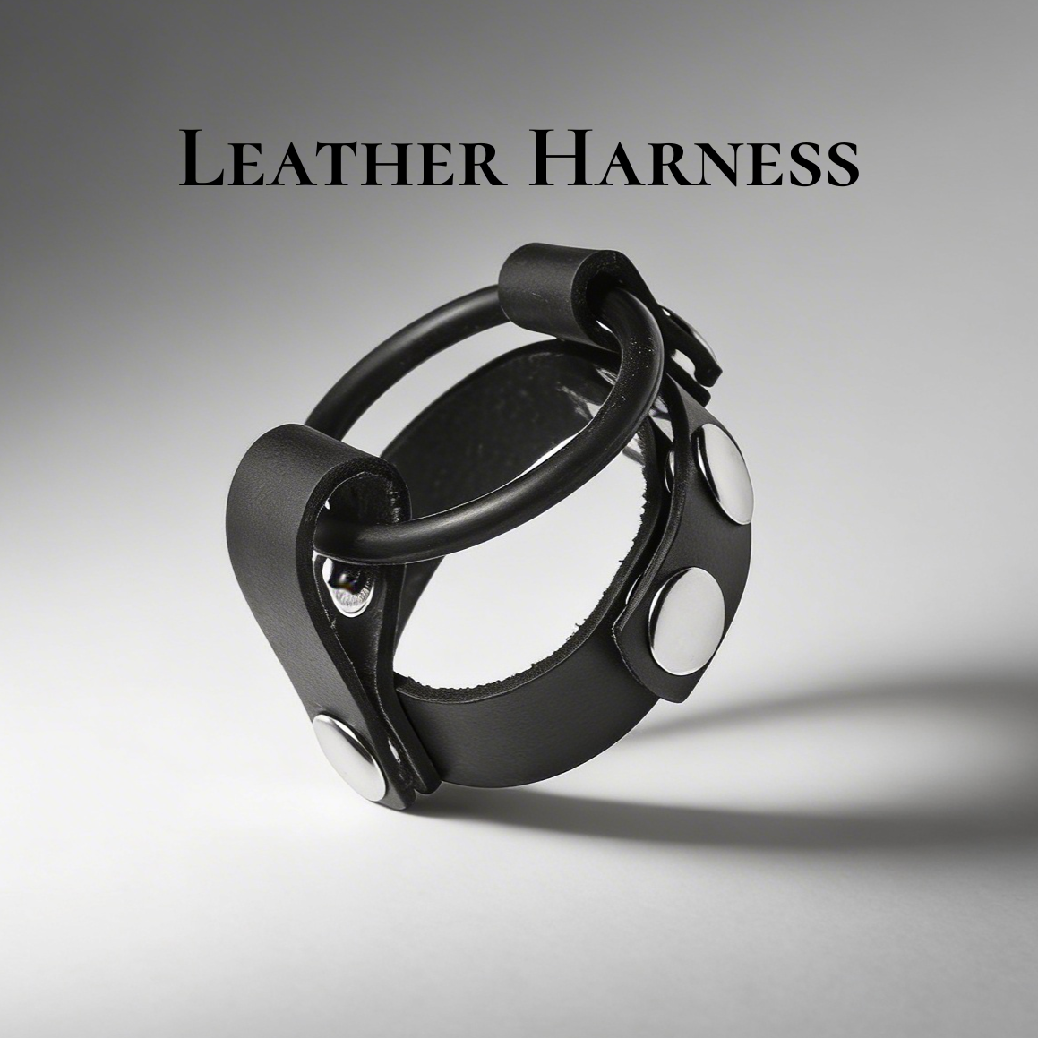 Cock Ring Harness