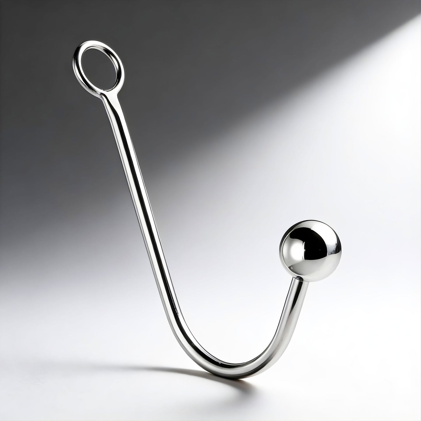 The Stainless Steel Anal Hook