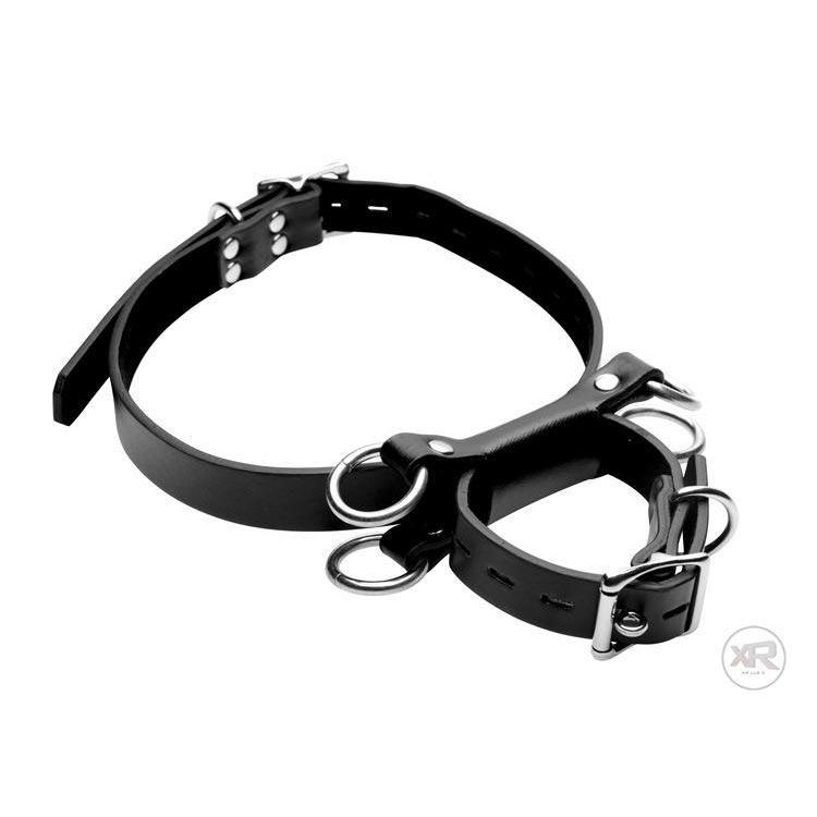 Frog Tie Kneeling Bondage Restraint System