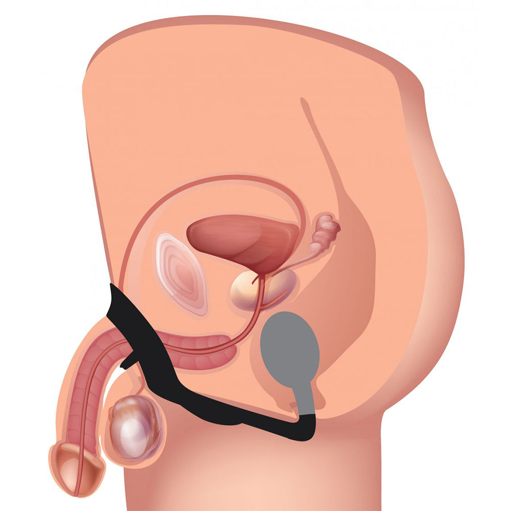10X P-Bomb Silicone Cock and Ball Ring with Vibrating Anal Plug Boyzshop 10X P-Bomb Silicone Cock and Ball Ring with Vibrating Anal Plug Boyzshop