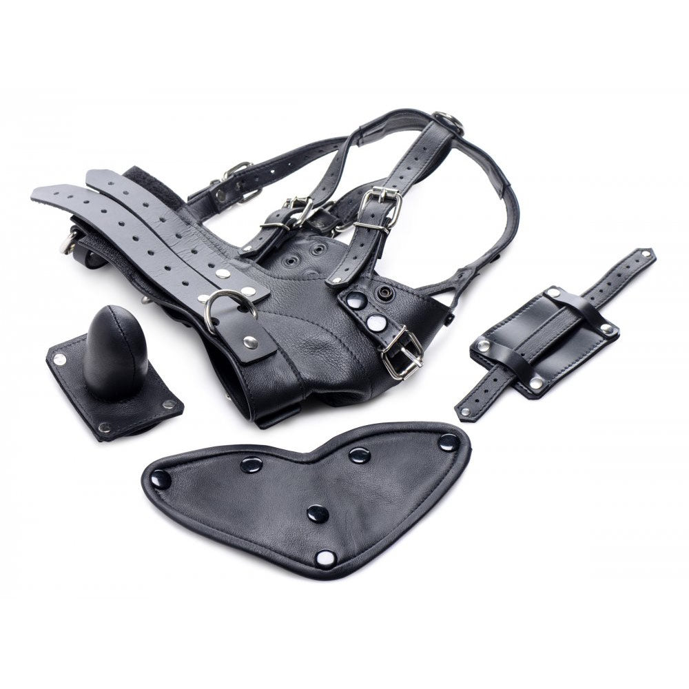 Leather Head Harness with Removeable Gag