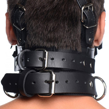 Leather Head Harness with Removeable Gag