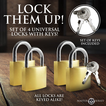 Nickel-free padlock from the 4 pack lock set for restraint play