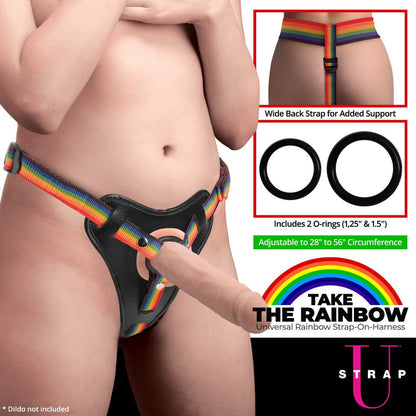 Rainbow Strap-On Harness holding a dildo with O-ring size callouts