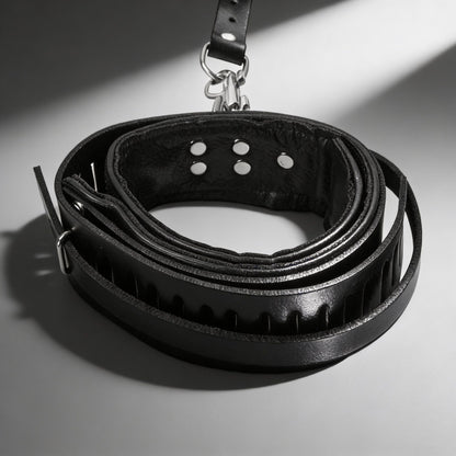 Strict Leather Sling and Stirrups
