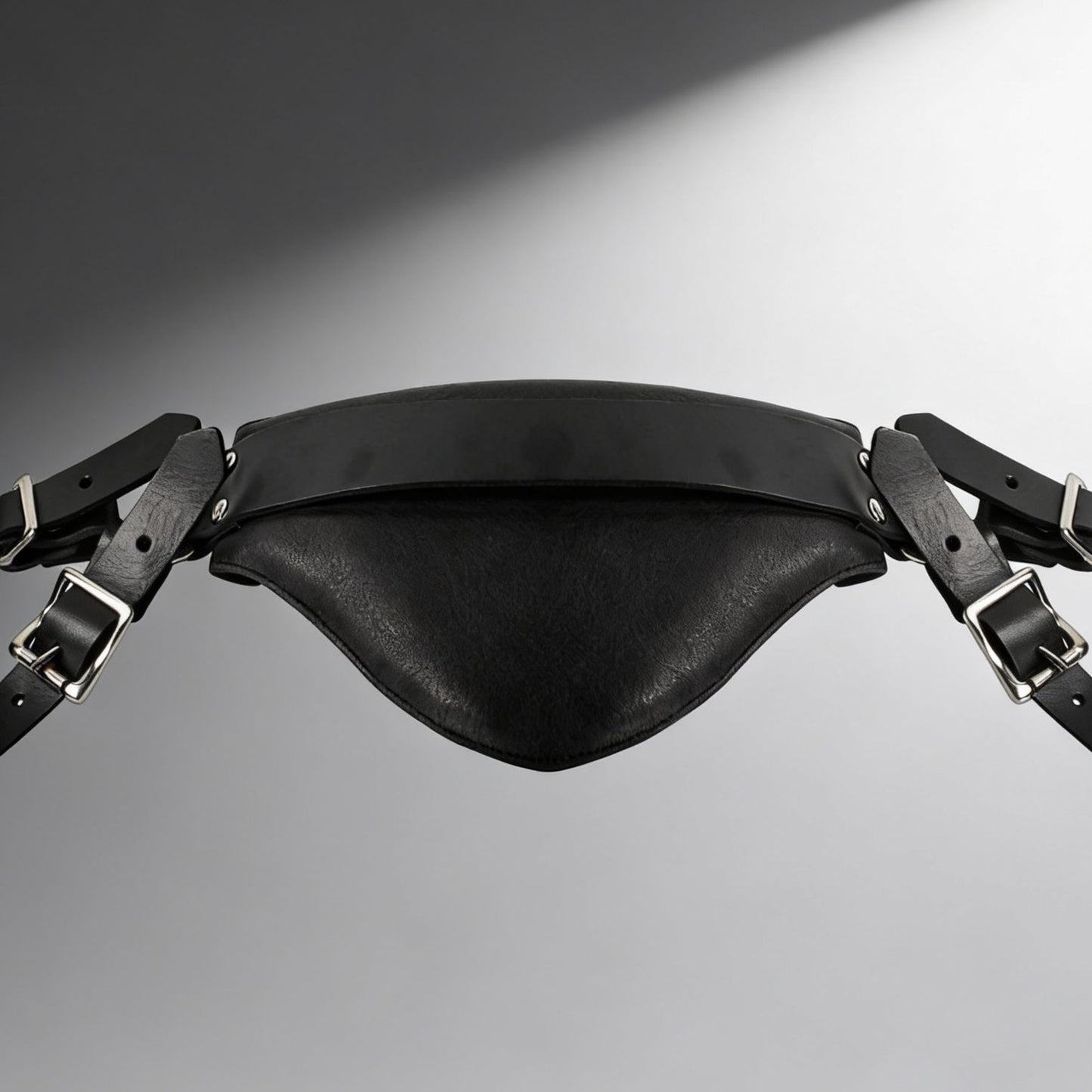 Strict Leather Sling and Stirrups