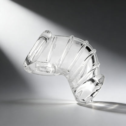 Detained Soft Body Chastity Cage