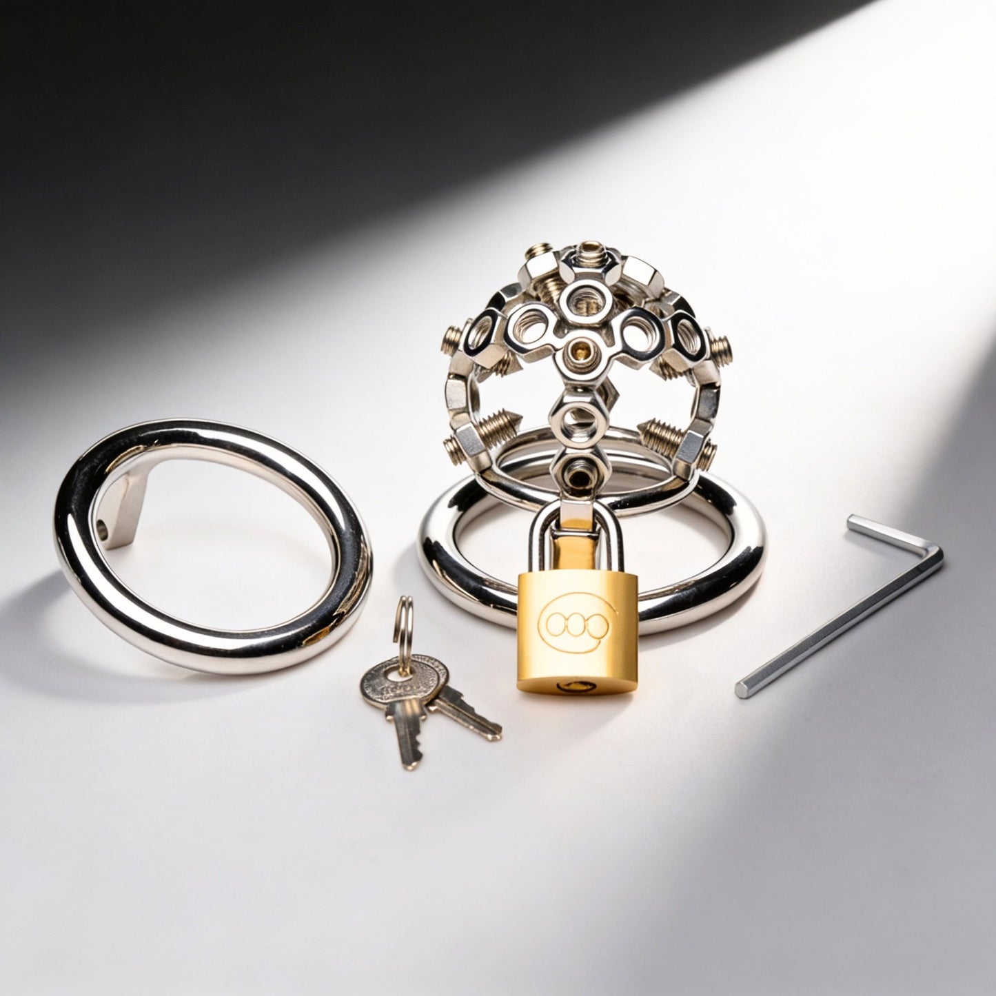 Bolted Chastity Cage with Spikes