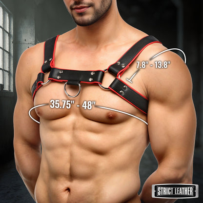 Leather English Bull Dog Harness
