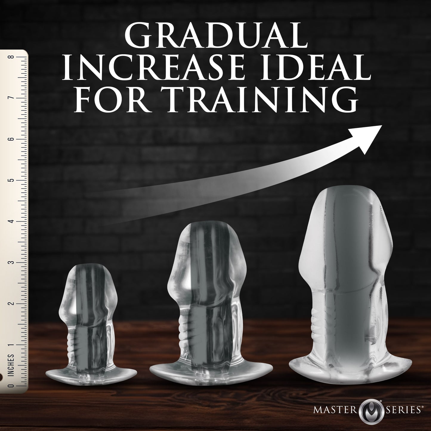 Dicked Clear Hollow Anal Plug 3pc Set