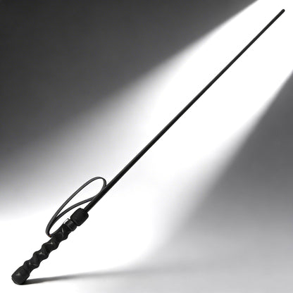 The Intense Impact Cane