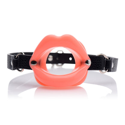 Cock Sucker Mouth Gag