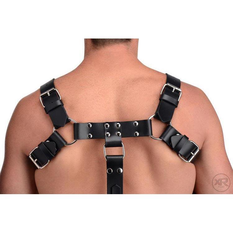 English Bull Dog Harness with Cock Strap