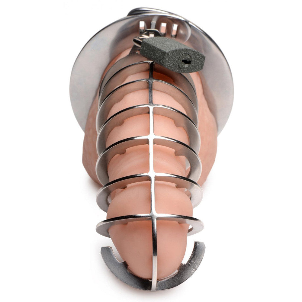 Stainless Steel Spiked Chastity Cage
