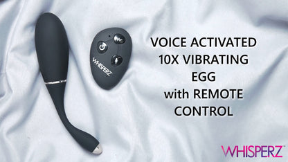 Voice Activated 10X Vibrating Anal Egg with Remote Control
